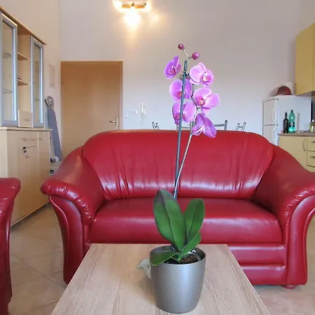 Jenny Apartment